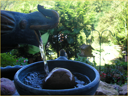 Bild von Dir fehlt noch